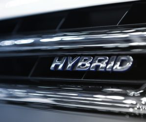 Mange velger Hybrid!
